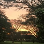 Sunrise  | Photo taken by Michele B