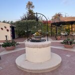 Photo taken by Martine B