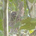 Photo taken by Breann B