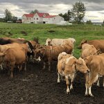 Photo taken by Jon A