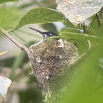 Photo taken by Joyce C