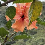 Photo taken by Emily F