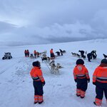 Photo taken by Sandra D