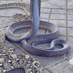 Photo taken by Cristy C