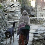 Woman goes up, dog goes down. | Photo taken by Wayne P