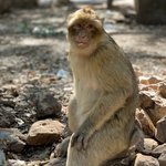 Photo taken by Leah H