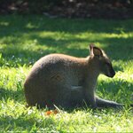 Photo taken by Nicholas P