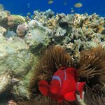 Photo taken by Matteo R