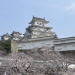 Photo taken by Norma M