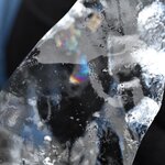 Photo taken by Sally L