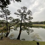 Photo taken by Adrian D