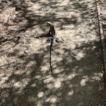 Photo taken by Joy E