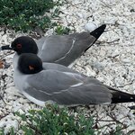 Photo taken by Maggie K