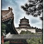 Photo taken by Fiona C