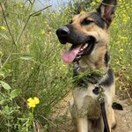 Photo taken by Debbie W