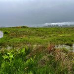 Photo taken by Brett T