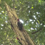 Photo taken by Kristen L