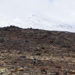 Tongariro National Park | Photo taken by JESSICA T