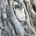 Photo taken by Thomas C