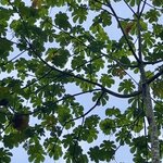 Photo taken by Sofia W