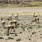 Photo taken by John L