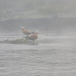 Photo taken by Cayden S