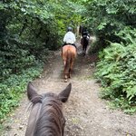 Photo taken by Shamma L