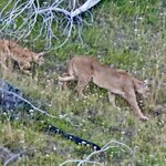 Photo taken by Thomas V