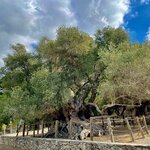 Photo taken by James N