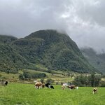 Photo taken by Nancy B