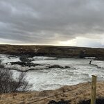 Photo taken by Jaya C