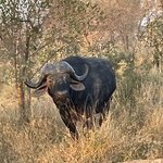 Photo taken by Joanne B