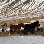 Photo taken by Cathy N