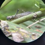 Photo taken by Dana F