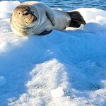 Photo taken by Sharon B