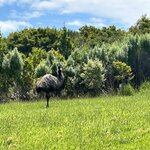 Photo taken by Amy Z