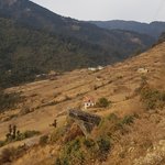 Photo taken by Amy S