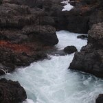 Photo taken by Cyd T