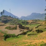 Photo taken by Tony W