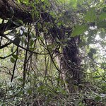 Photo taken by Kate R