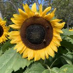 Photo taken by Andrew Z