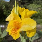 Photo taken by Carrie N