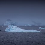 Photo taken by SANDRA V