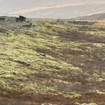 Photo taken by Julie M