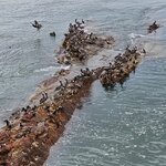 Photo taken by Peter F