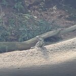 Photo taken by Lisa R