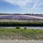 Photo taken by Jennifer D