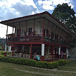 Coffee Farm | Photo taken by David B