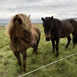 Photo taken by Lisa D