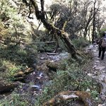 Photo taken by matthew h